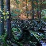 Sommerurlaub Apartment Haidacher